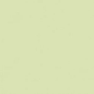 Unifarbene Dekore c855