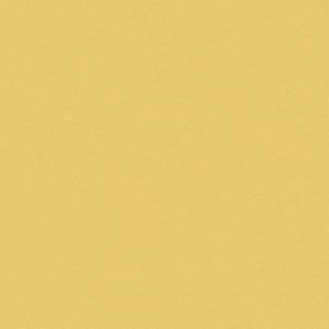 Unifarbene Dekore c858