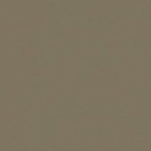 Unifarbene Dekore c862