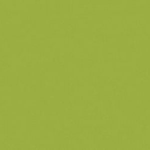 Unifarbene Dekore c865