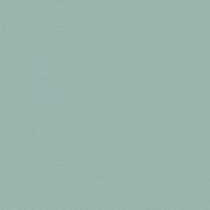 Unifarbene Dekore c866