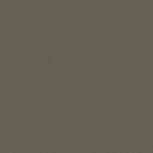 Unifarbene Dekore c868