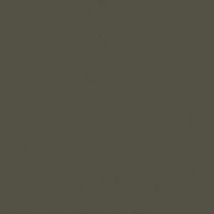 Unifarbene Dekore c885