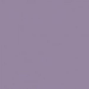 Unifarbene Dekore c909